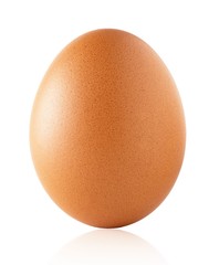 Close up picture of an egg on white background with clipping path