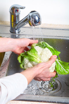 White cabbage in the sink