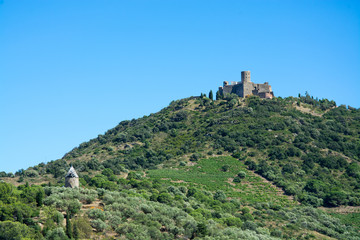 Fototapeta na wymiar Fort Saint-Elme, Collioure