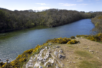 Bosherston Lily Ponds deserted in spring sunshine, Bosherston, Pembrokeshire, Wales, UK
