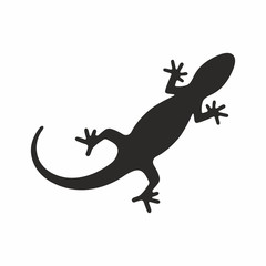 Fototapeta premium Lizard icon