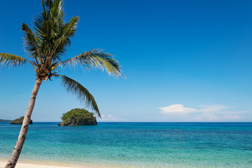 Fototapeta na wymiar turquoise ocean water and blue sky with palm tree