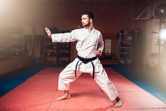 Martial arts master, black belt, karate