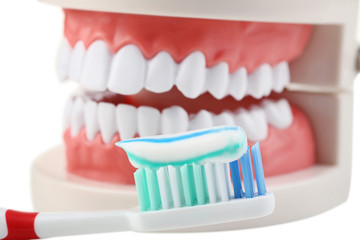 Teeth model with toothbrush and toothpaste