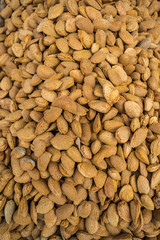 Almands in shell at the market