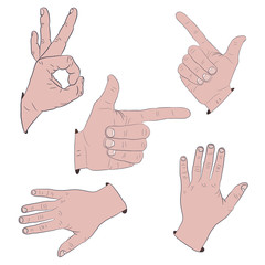 Hand gestures realistic art icon set. Isolated vector illustration of human hands