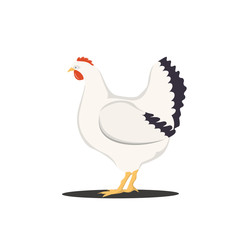 Vector Illustration of cute cartoon hen isolated on white background.