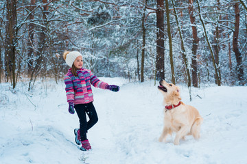 Fototapeta na wymiar young girl playing with golden retriever on winter walk.