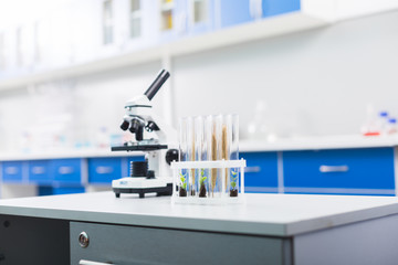 Small green plants growing in vials