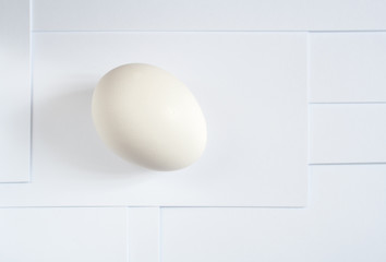 Minimalistic monochrome photo of white egg on white background in light key.