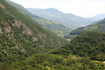 Biogradska gora, National Park, Montenegro 