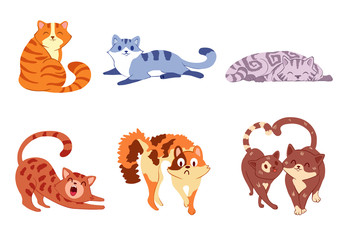 Six multi-colored cats sit, lie and stand in different poses. Vector illustration.