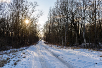 Obraz premium winter rural scene