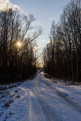 winter rural scene