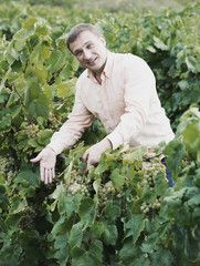 Vintner with clusters of grape