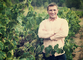 Vintner with clusters of grape