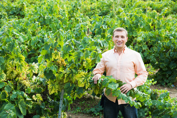 Vintner with clusters of grape