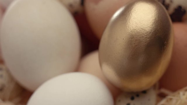 closeup off mix of different eggs with focus on the golden one
