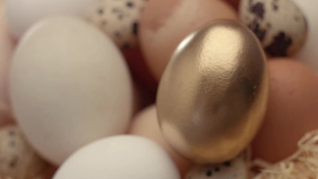mix of different eggs and the golden one on the first plane closeup