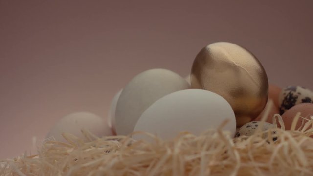 closeup pan video of different kind of eggs with a golden one on beige background