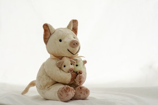 Piglet doll carrying baby on a white background