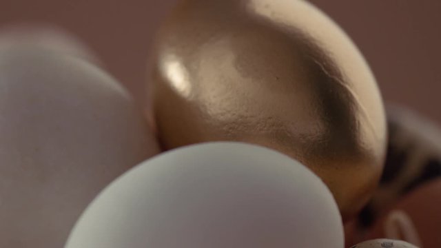 pan movemet closeup eggs different kind of eggs