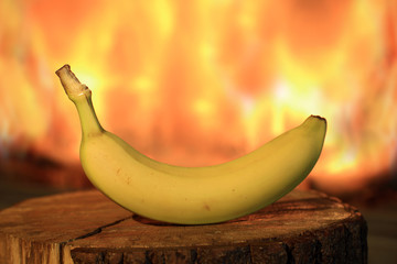 Banan przy ogniu kominka na drewnianej kłodzie. - obrazy, fototapety, plakaty