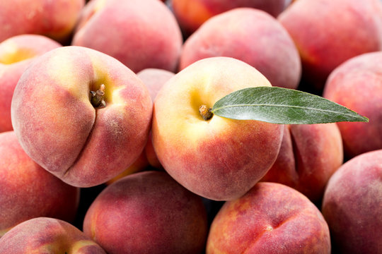 close up of fresh peaches