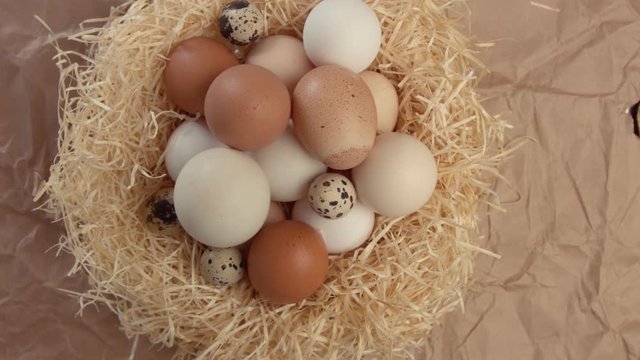top view pan movement nest with eggs on the paper background