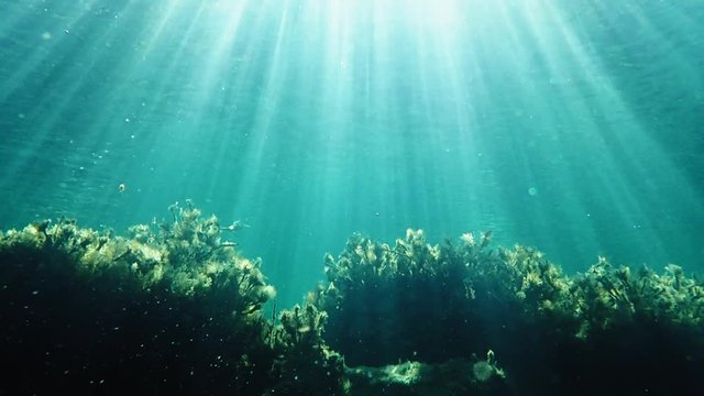 Sunrays over reef in Mediterranean sea