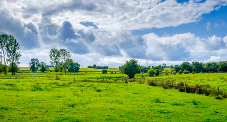 Verdant fields in the Mayenne countryside on a summer day, France 