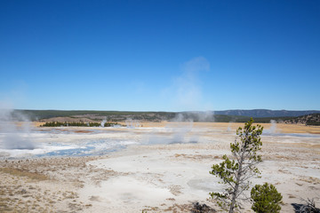 Lower geyser basin