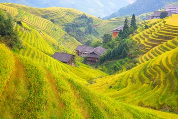  Longji rijstterrassen © swisshippo