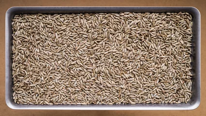 Fototapeten Rye grains in a steel container on a brown background. Texture of grains of rye. © vladk213