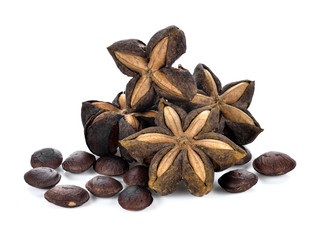seed of sacha inchi,sacha mani or star inca peas on white background