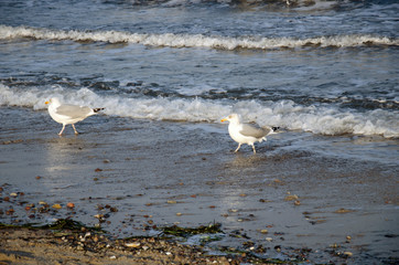 Travemünde an der Ostsee