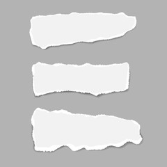 Ripped paper. Vector of ripped paper. the paper was ripped background.