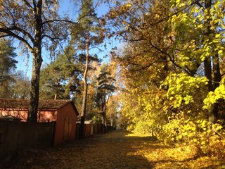 Fototapeta premium Russian autumn