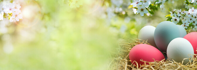 Colorful easter eggs in spring