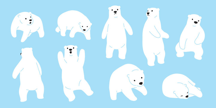 Bear vector Polar Bear logo icon doodle illustration character cartoon