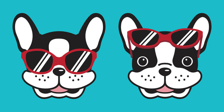 Dog vector french bulldog icon smile cartoon character logo red sunglasses illustration