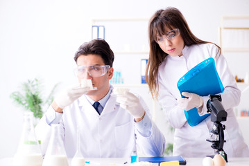 Two lab doctor testing food products