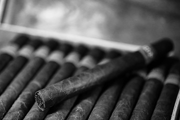 monochrome photo of large wooden box of cigars handmade Cuban