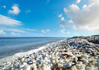 Pebbles in Stintino shore seen from the ground