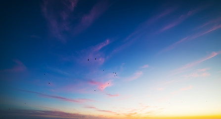 Obraz premium Colorful clear sky at sunset in California