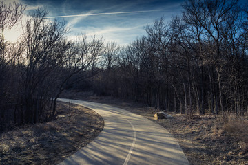 Concrete path in a city park with shadows from trees on a sunny February evening in Texas