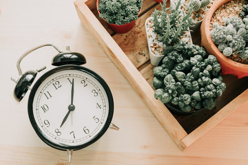 top view. clock and plant placed on wooden background with copy space. image for business, time, object, isolated, decoration, plant, nature, garden concept