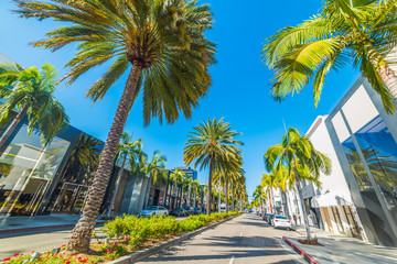 Palm trees in Rodeo Drive - obrazy, fototapety, plakaty