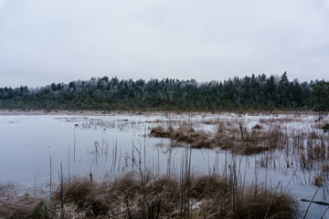 frozen country side by the forest covered in snow