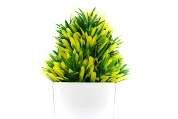 little green and yellow tree pot 